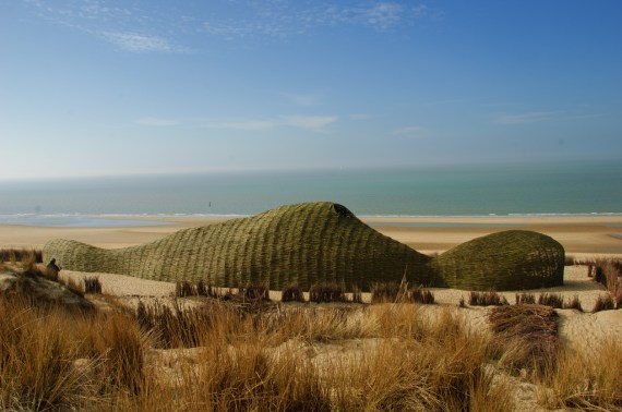 Image result for Casagrande Laboratory sandworm