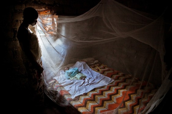 Paolo Patruno's photography in Africa