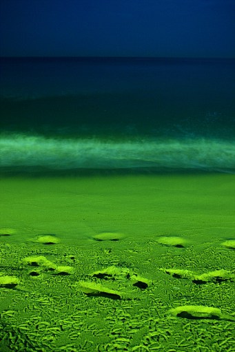 Chang Nam's photography