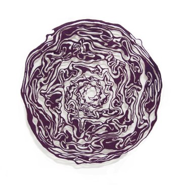 Red-Cabbage-masked-1000-web.jpg