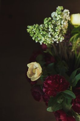 Image result for FIONA PARDINGTON photography