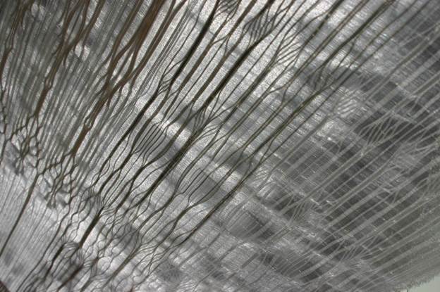  X-Ray Vault Series I, 2014, nylon monofilament and iridescent threads, 155 x 68cm 