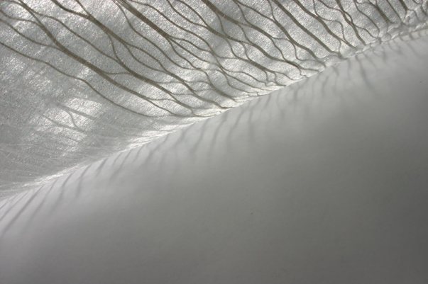  CrystalClear I and II,&nbsp; with natural light 2012 nylon monofilament and iridescent threads 103 x 88cm 62 x 88cm   