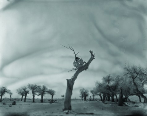 Image result for ADOU