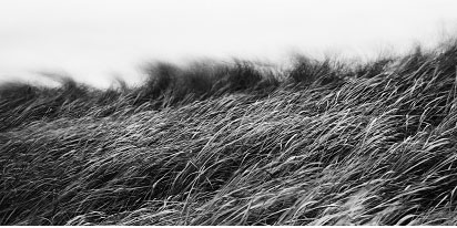 bae-bien-u-10-2013_21