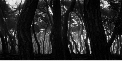 bae-bien-u-4-2013_19