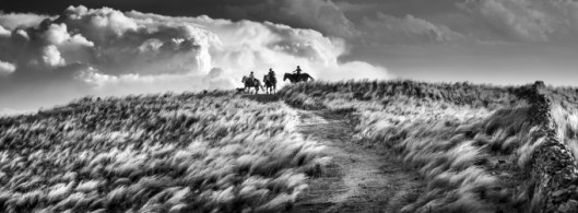 Marcos Furer's photography