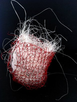 Cathryn Hogg555068_369272209848305_156880676_n