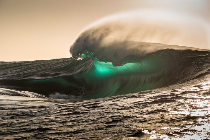 Afternoon Search_Photo Ord .jpg