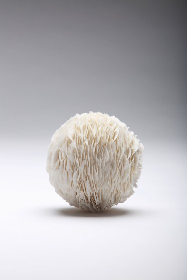 Image result for JENNIFER HICKEY ceramics porcelain untitled