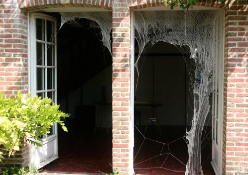 jenine shereos 841013ffaad88431f8423307f77f3533