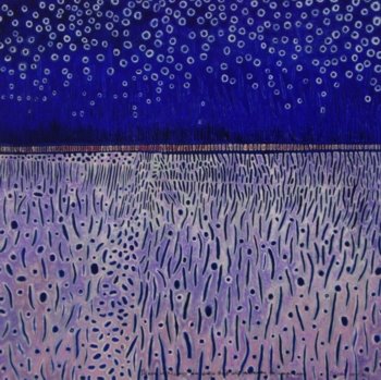 ray-firth-1-dede1-rayfirth2