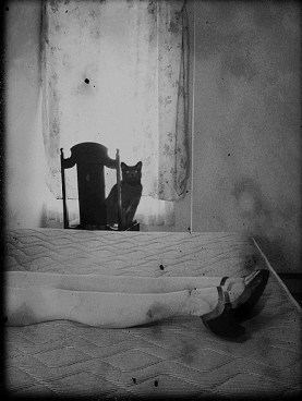 Klousch2437a70e81fafe7095f93d4add27a3335