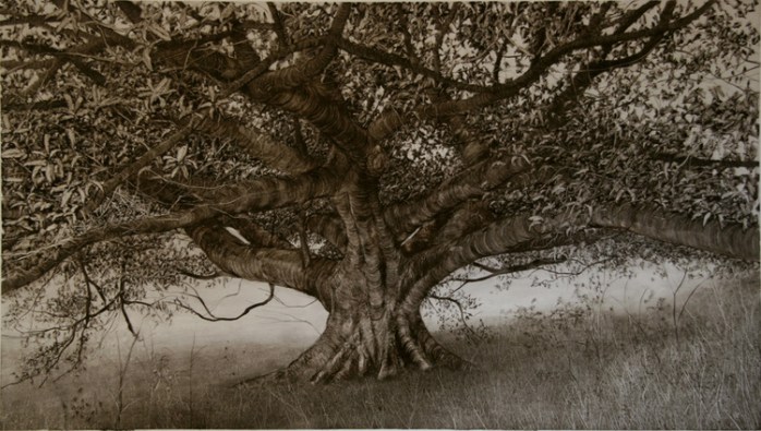  Fig in Long Grass, 2006. Oil on paper. 56cm x 100cm. 