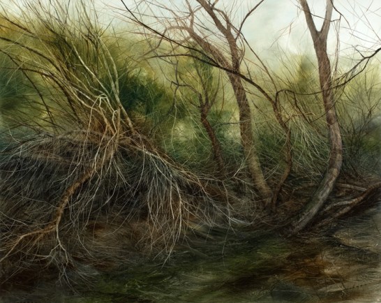  Winter Willow I, 2011. Oil on canvas. 120cm x 150cm. 