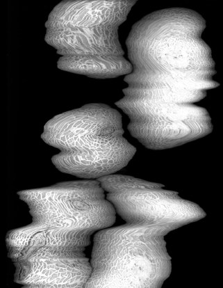 Amelie Petitmoreau's photography