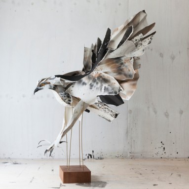  Osprey 2015 All images in Works by silversalt photography &nbsp;unless otherwise stated 