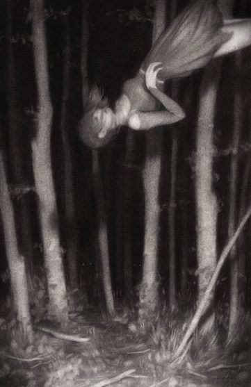 HARVEST -graphite/carbon, 11 x 17", 2012