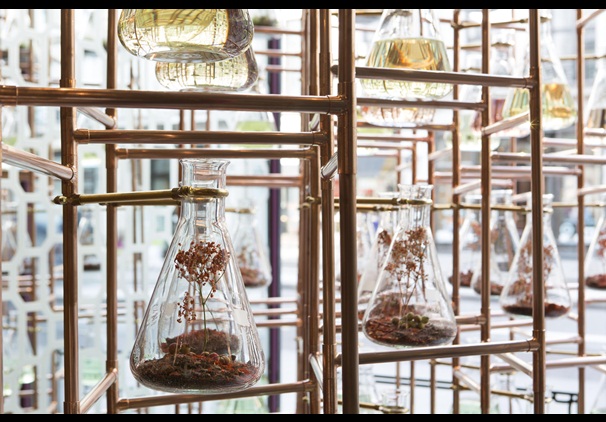 penhaligon-15-1389769_penhaligons_2