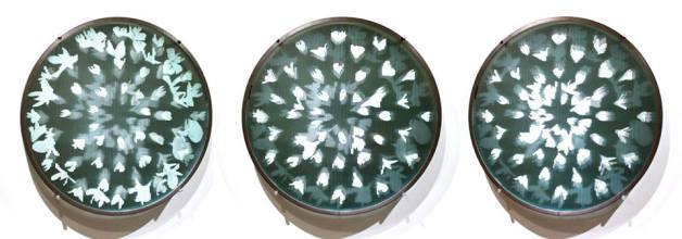 yoko-togashi-1-10007540_656548677738281_1065892613_n