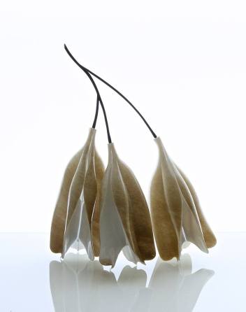 yoko-togashi-10-11707574_891249234268223_5635366506249413759_n