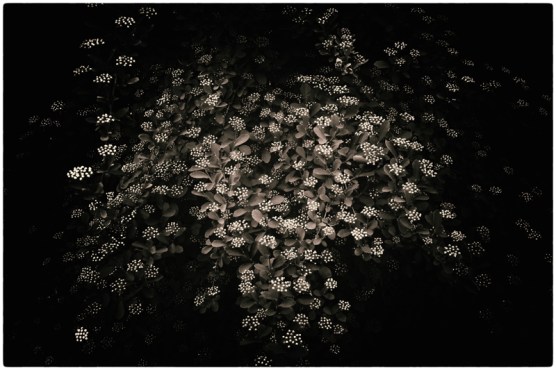 albarran-cabrera-1-tumblr_o3k30qgpcv1tdeds6o1_1280