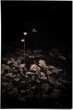 albarran-cabrera-10-getscaledpicture