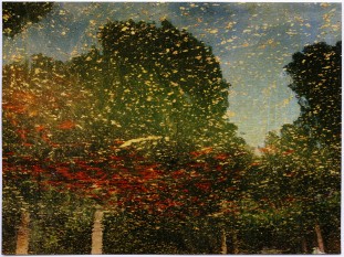 albarran-cabrera-14-getscaledpicture