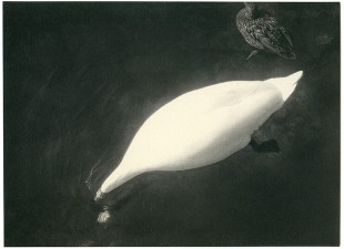 albarran-cabrera-17-getscaledpicture