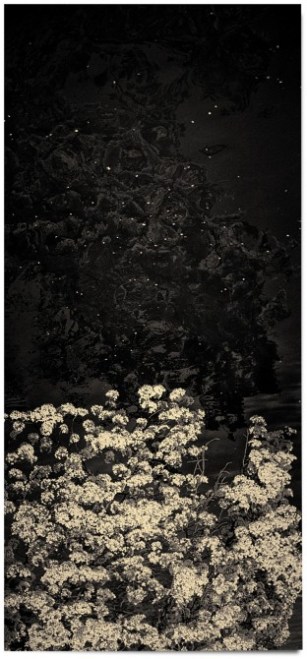 albarran-cabrera-4-getscaledpicture