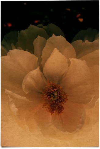 albarran-cabrera-6-tumblr_o23itsmcal1tdeds6o1_1280