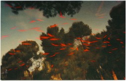 albarran-cabrera-9-getscaledpicture