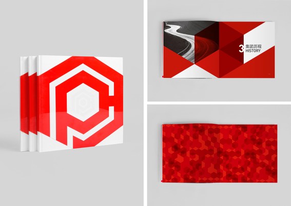 rong-design-17-668f3f46350937-5850fccd6435d