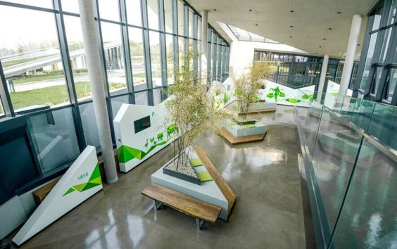 rong-design-4-f5981c118204b9a0f8919b6e2f08faff