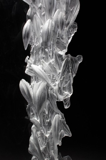 Image result for colin reid sunflowers