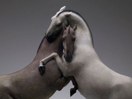 wang-ruilin-5-0fa48320551479-562ed2b425eba