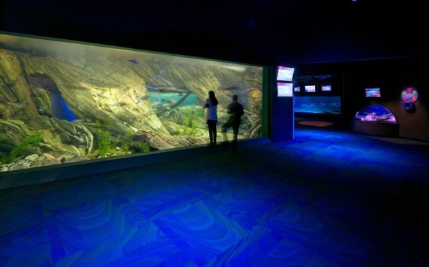lumenpulse-12-102_694_en_ripley_aquarium_04