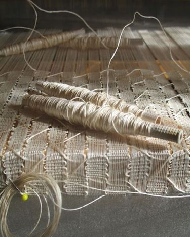 Image result for Johanna Bramble