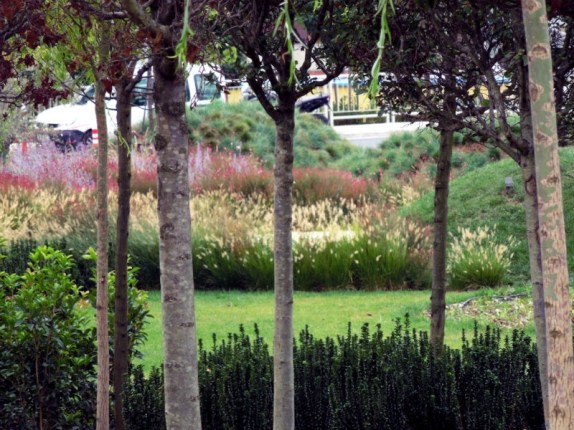 sdarch-prg_9543_gal_10448