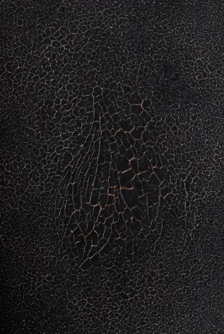 Floralis, 2009 (detail)