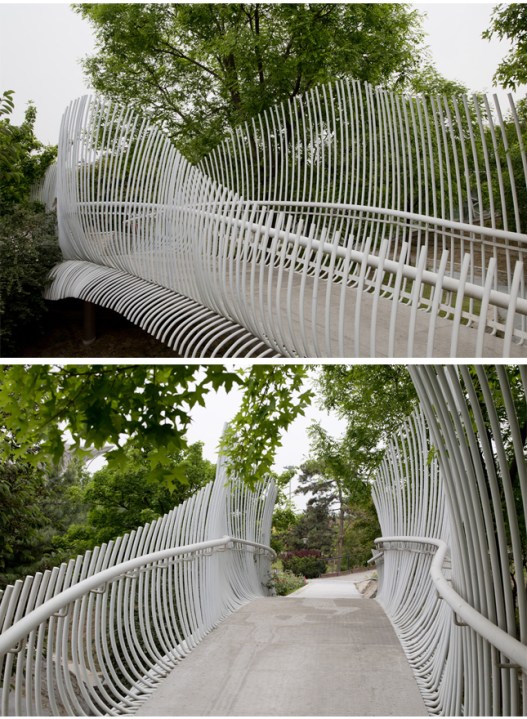 zt-studio-2-%e8%8a%b1%e6%a1%a563