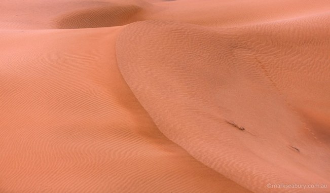 mark-seabury-13-12920257_823113491127287_7155787862536409303_n