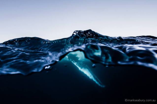 mark-seabury-19-10686944_592096770895628_6086910363527581537_n