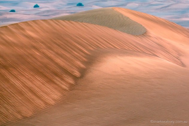 mark-seabury-4-10376333_678331038938867_4682287397778693978_n