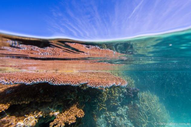 mark-seabury-9-931215_375187032586604_601792353_n