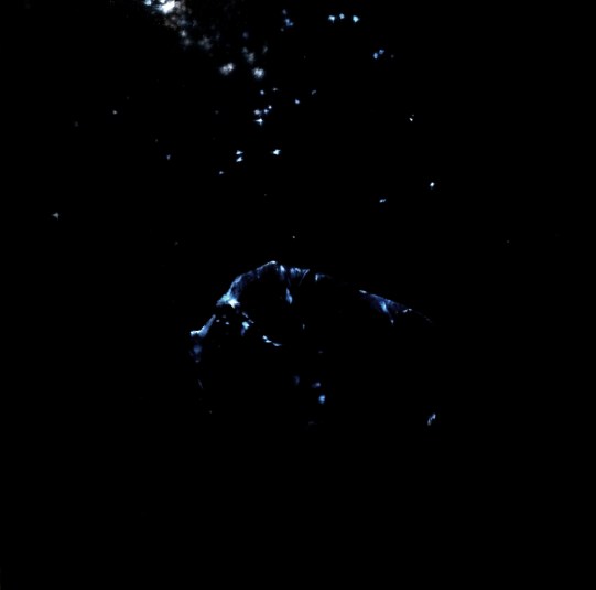 And then the World was Silent