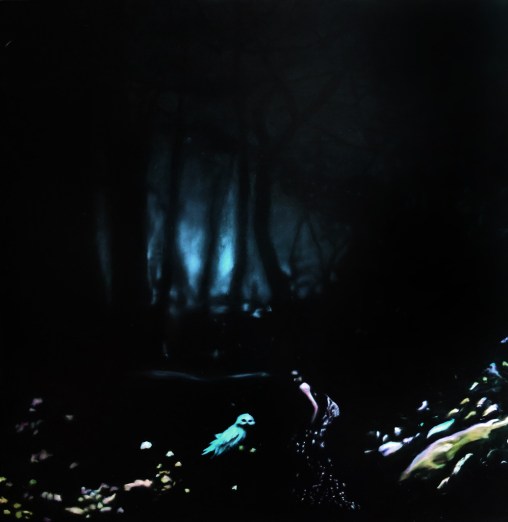 An Echo in the Woods