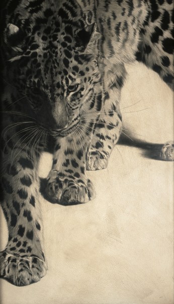 Amur Leopard I / Panthera pardus orientalis / 2010 / 122 x 70 cm / Pencil on panel