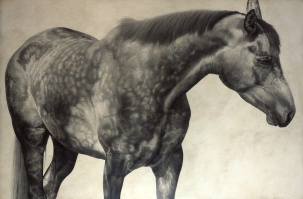 Horse I / Equus ferus callabus / 2009 / 100 x 150 cm / Pencil on panel